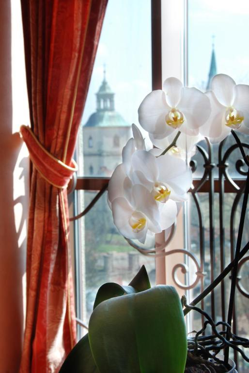 Hotel Basztowy Sandomierz Εξωτερικό φωτογραφία